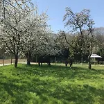 Wohlfuehloase - Moderne Mit Grossem Eingezaeuntem Garten In Alleinlage An Feld & Wald, Pur Trifft Auf Komfort, Wellness Und Gute Erholung Daire