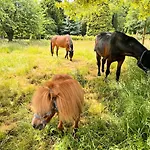 Wohlfuehloase - Moderne Mit Grossem Eingezaeuntem Garten In Alleinlage An Feld & Wald, Pur Trifft Auf Komfort, Wellness Und Gute Erholung *