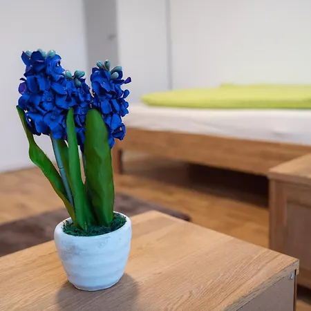 Wohlfuehloase - Moderne Mit Grossem Eingezaeuntem Garten In Alleinlage An Feld & Wald, Pur Trifft Auf Komfort, Wellness Und Gute Erholung