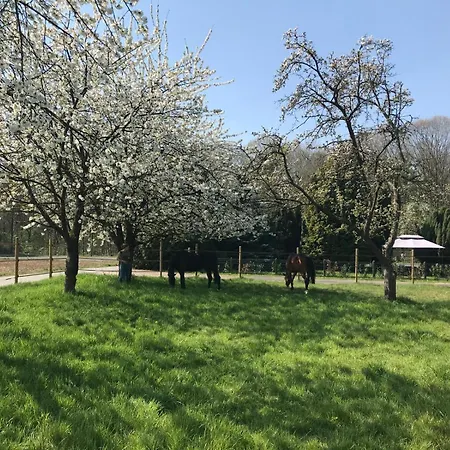 Wohlfuehloase - Moderne Mit Grossem Eingezaeuntem Garten In Alleinlage An Feld & Wald, Pur Trifft Auf Komfort, Wellness Und Gute Erholung Apartment