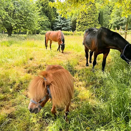 Wohlfuehloase - Moderne Mit Grossem Eingezaeuntem Garten In Alleinlage An Feld & Wald, Pur Trifft Auf Komfort, Wellness Und Gute Erholung *