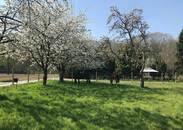 Wohlfühloase - Moderne Mit Großem Eingezäuntem Garten In Alleinlage An Feld&wald, Pur Trifft Auf Komfort, Wellness Und Gute Erholung Apartment